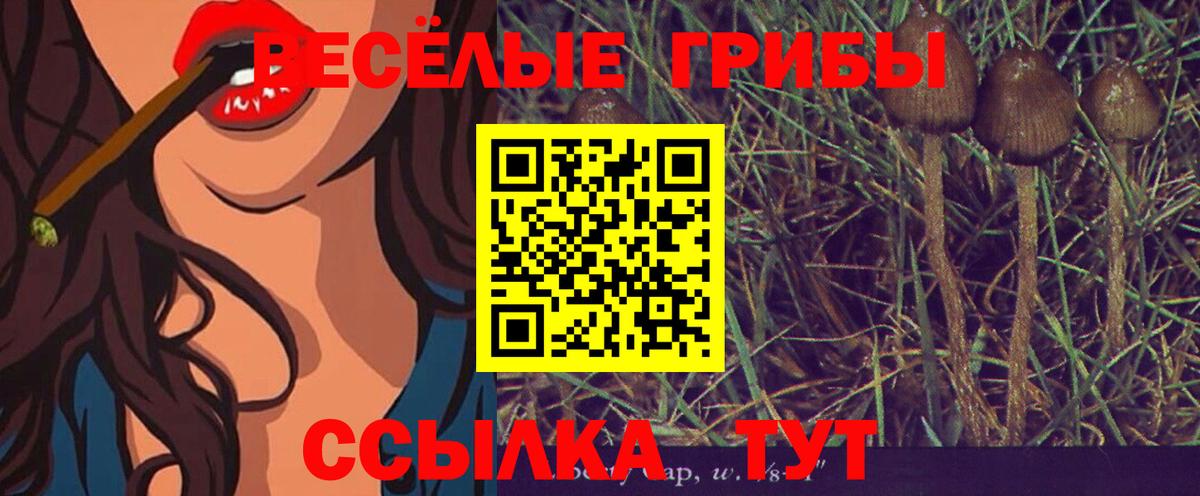 Псилоцибиновые грибы MAGIC MUSHROOMS  Вход с VPN  Копейск 